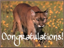 Congratulations Cougar